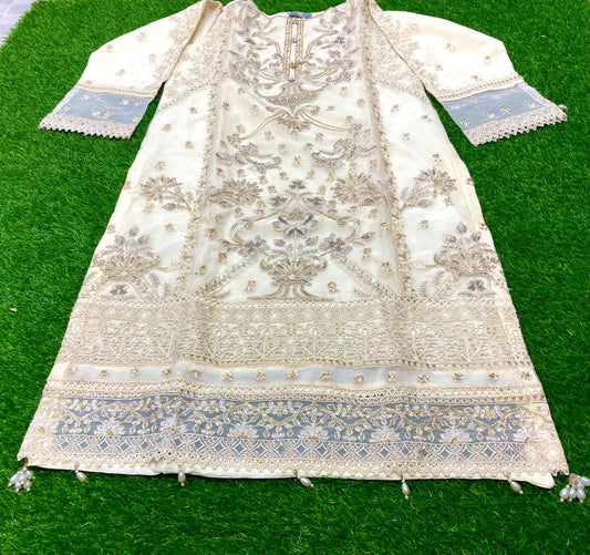 Stitched Organza Embroidery suit