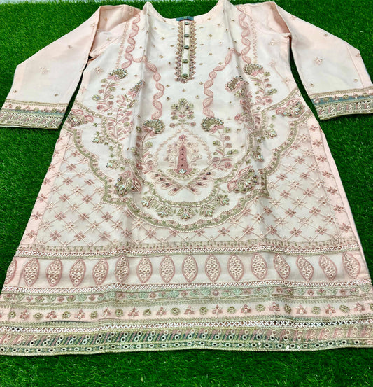 Stitched Organza Embroidery suit