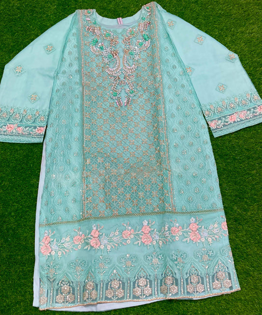 Stitched Organza Embroidery suit
